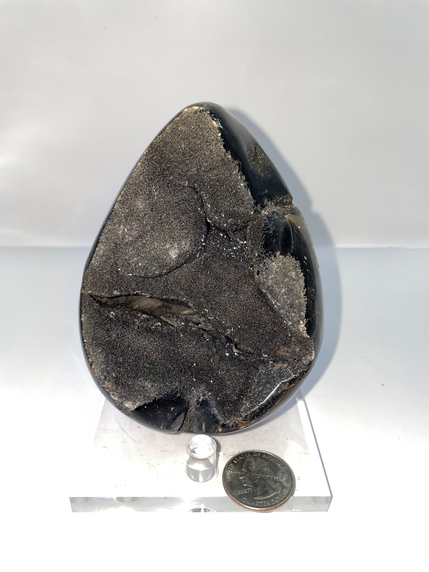  dragon, egg nodule