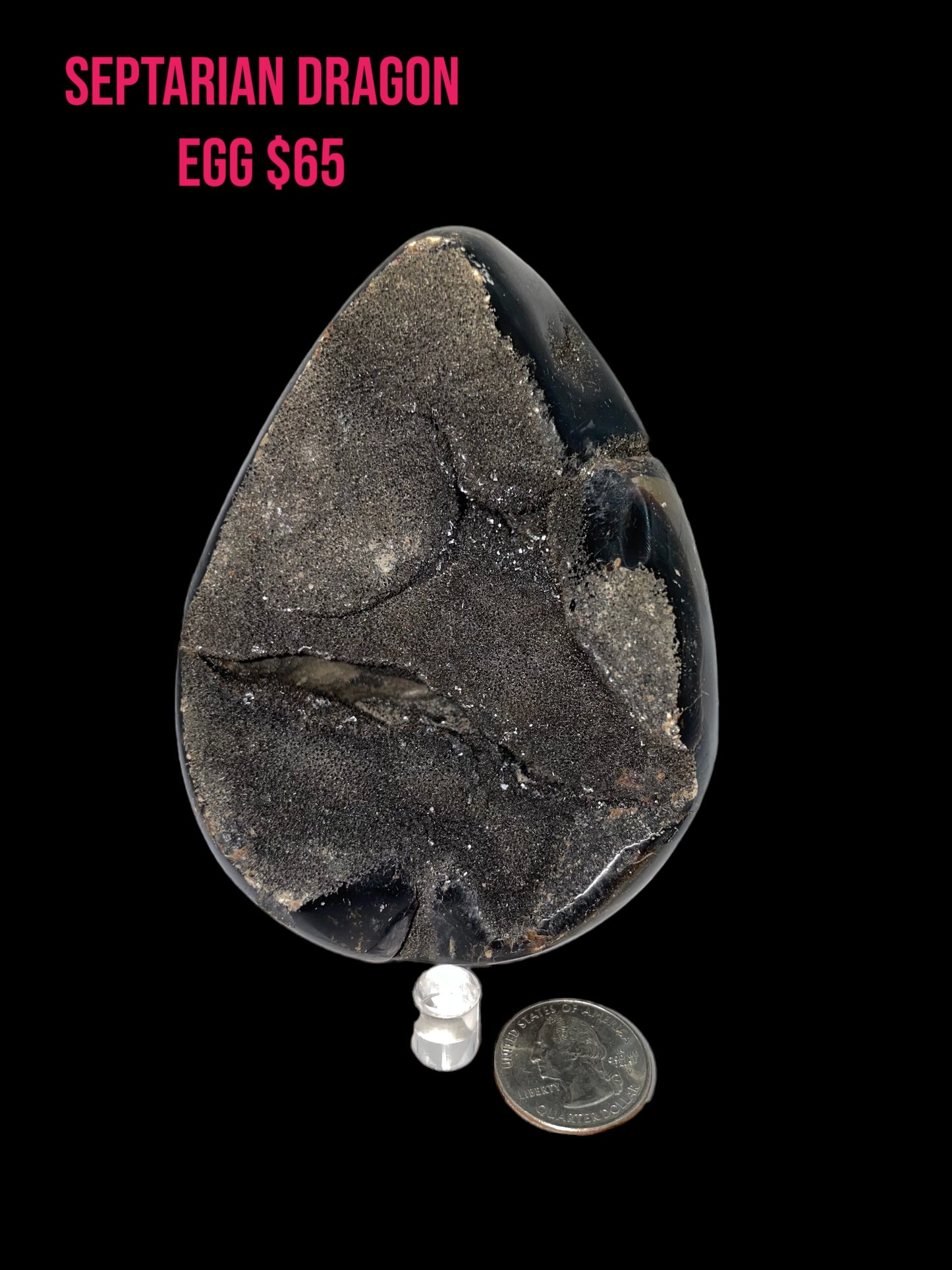  dragon, egg nodule
