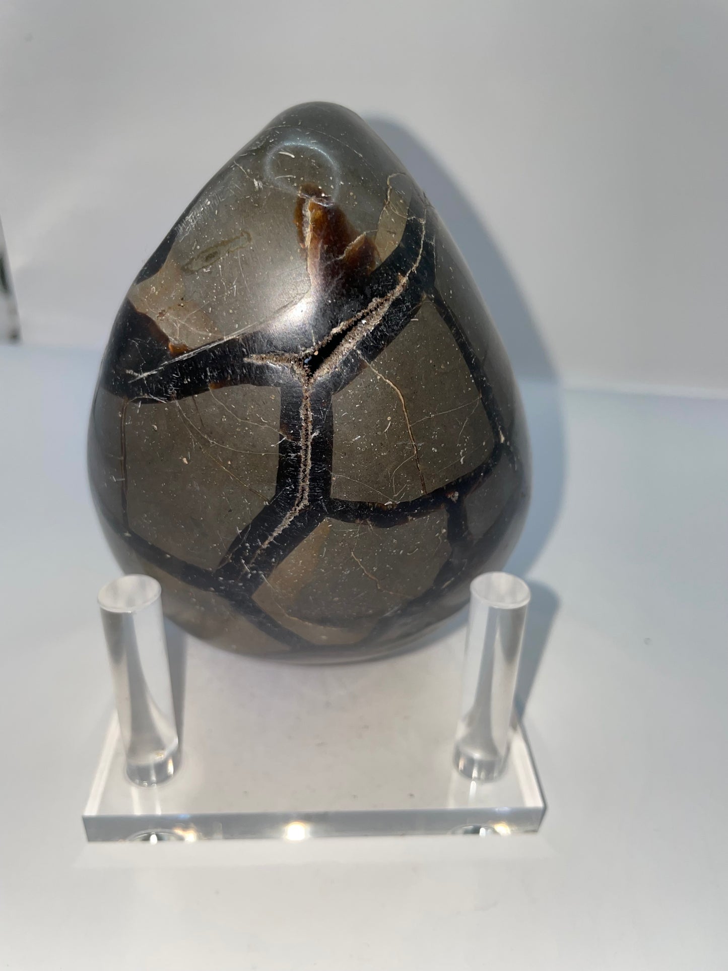  dragon, egg nodule