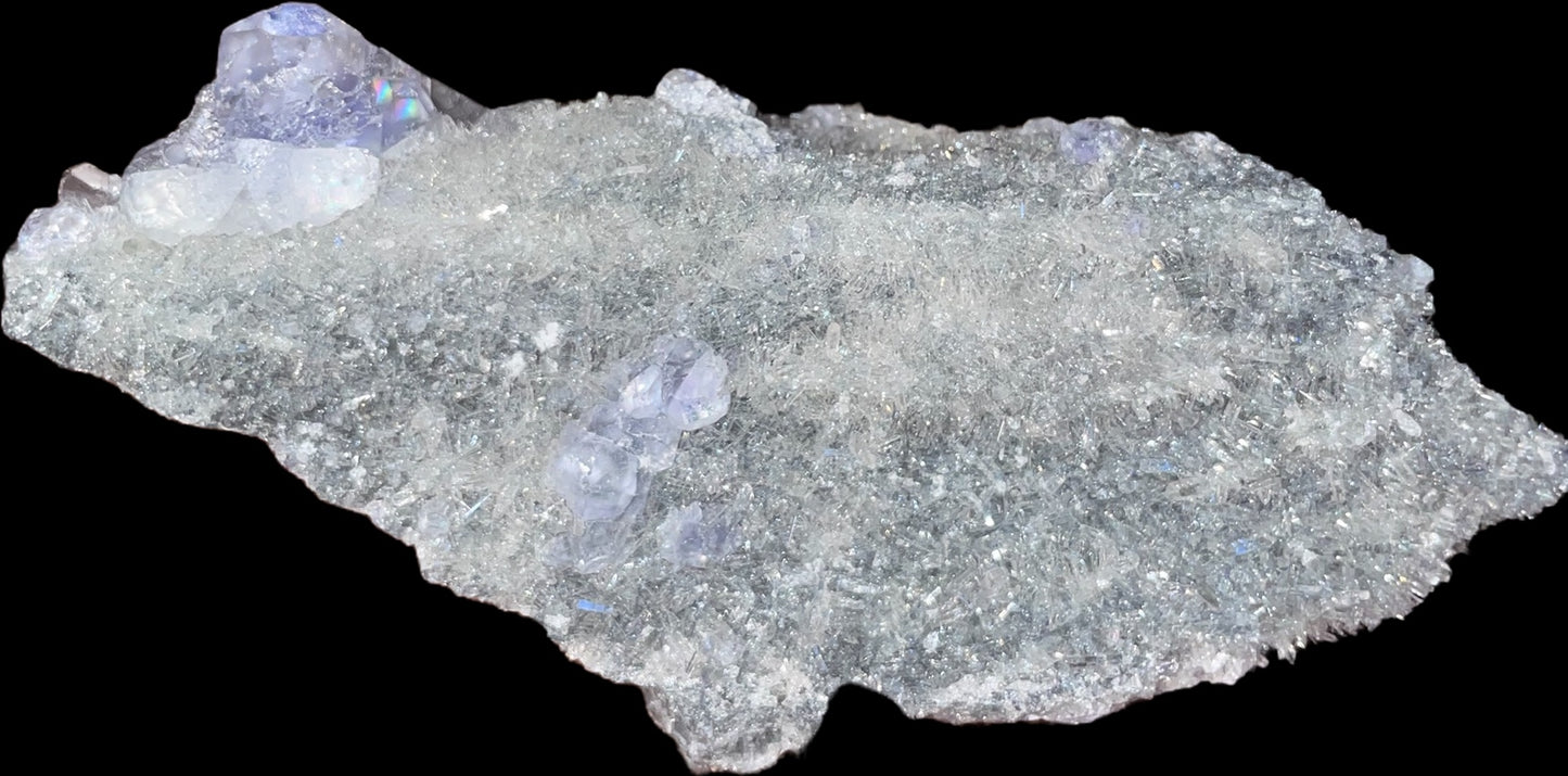 Tanzanite Fluorite π₯π₯π₯