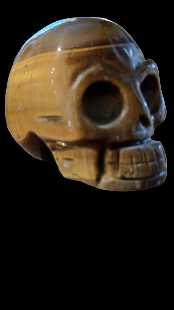 Tiger Eye Skull